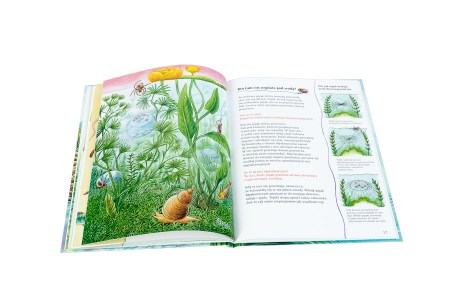 9788381446631 (6 of 6)9